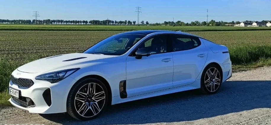 Kia Stinger cena 256000 przebieg: 15500, rok produkcji 2022 z Miłomłyn małe 172